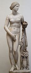 Hedylus