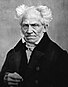 Arthur Schopenhauer thumbnail