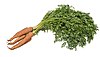 Carrots