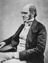 Charles Darwin thumbnail