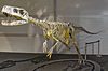 Dinosauria