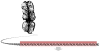 DNA