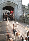 Fox hunting