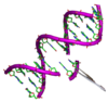 Genetic engineering