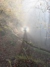 Bruce Springsteen