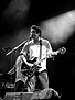 M. Ward thumbnail