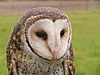 Edmund Burke