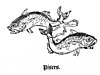Pisces