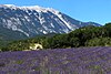 Provence