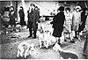 Street photography