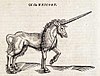 Unicorns