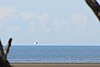 Unidentified flying object