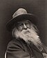 Walt Whitman thumbnail