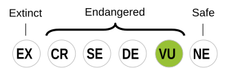 Yiddish